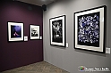 VBS_1651 - Mostra Peter Hince - Queen Experience